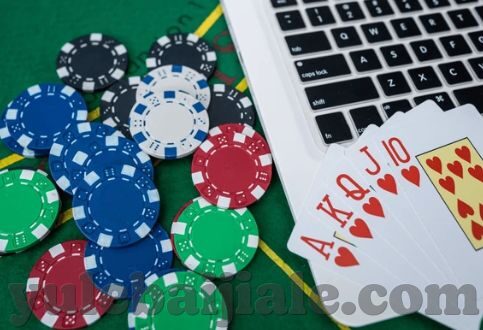 mk恩波利足球app官网-当然，我可以帮你撰写这篇文章。以下是根据你提供的关键词所撰写的